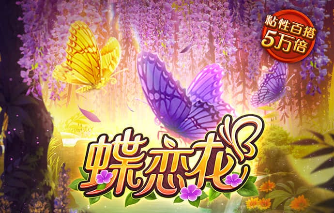 齐荷俊